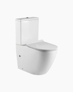 Arlington Back To Wall Toilet
