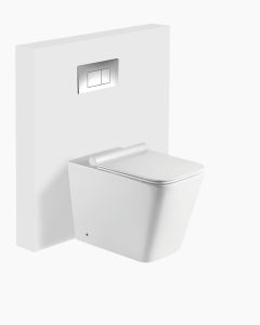 Baltimore In Wall Toilet
