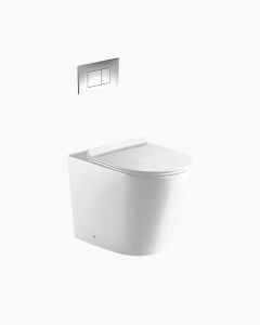 Missouri In Wall Toilet