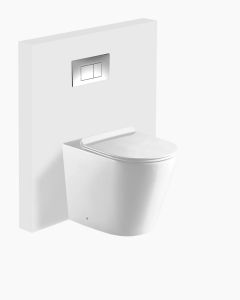 Missouri In Wall Toilet