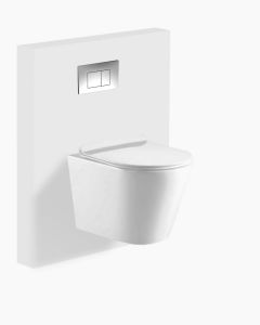 Missouri Wall Hung Toilet 