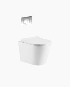 Missouri Wall Hung Toilet Matte White