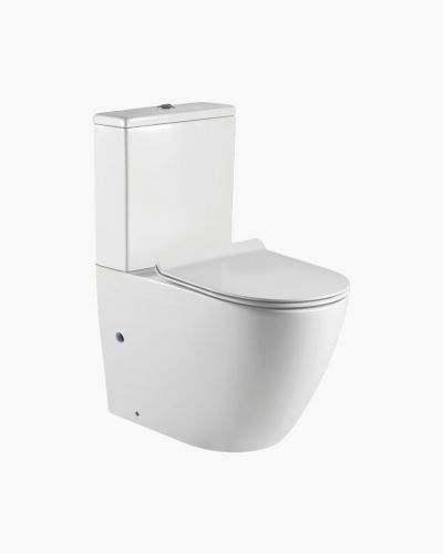 Arlington Back To Wall Toilet
