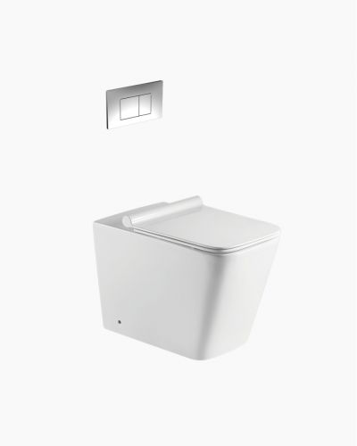 Baltimore In Wall Toilet