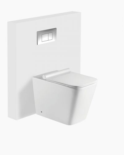 Baltimore In Wall Toilet