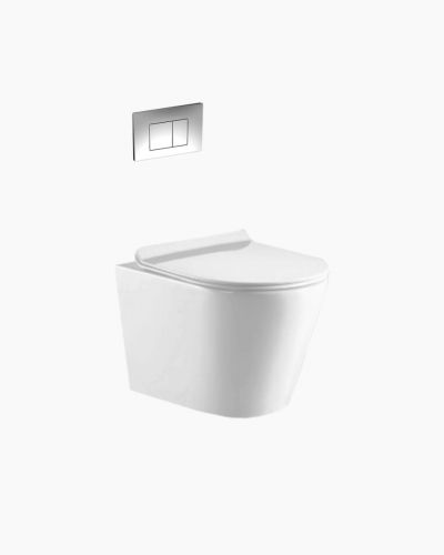 Missouri Wall Hung Toilet 