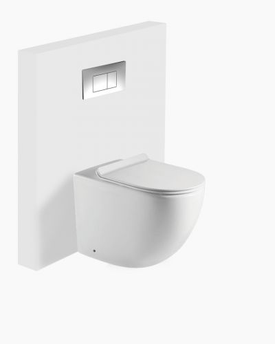 Pasadena In Wall Toilet